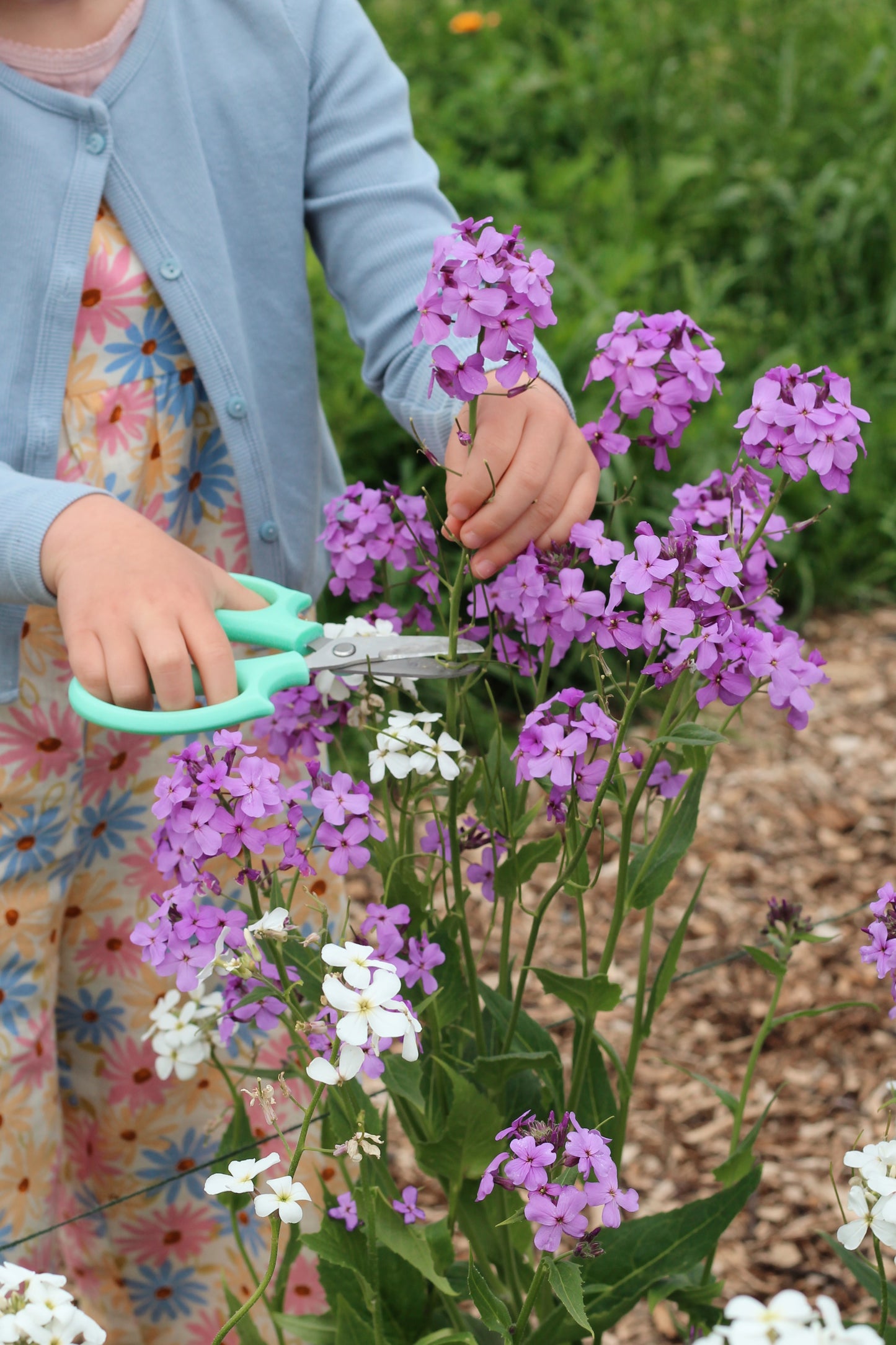 AUGUST - Flower Pressing