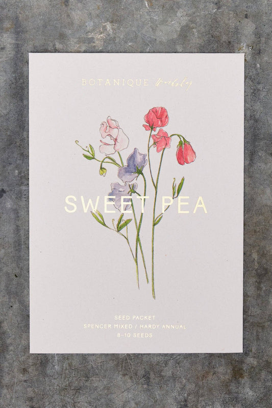 Sweet Pea Spencer Mixed Seed Packet