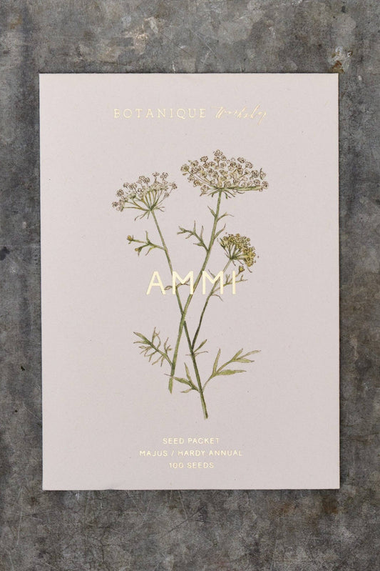Ammi Majus Seed Packet