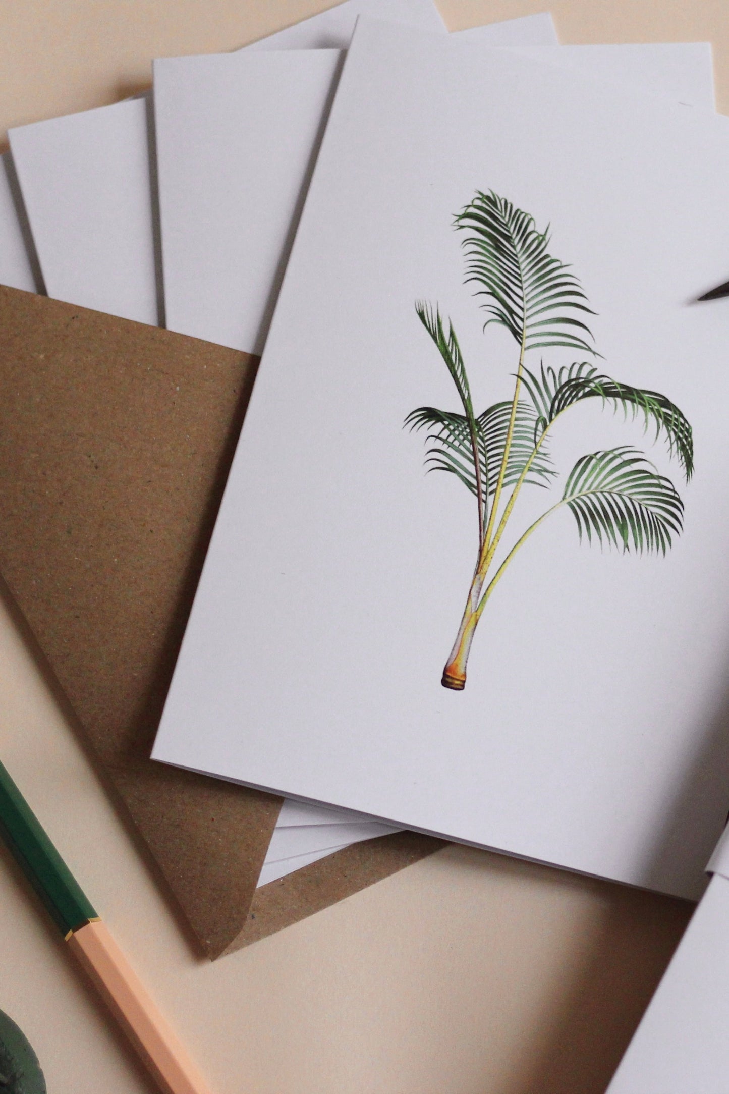 Frond & Bloom Greeting Card Set