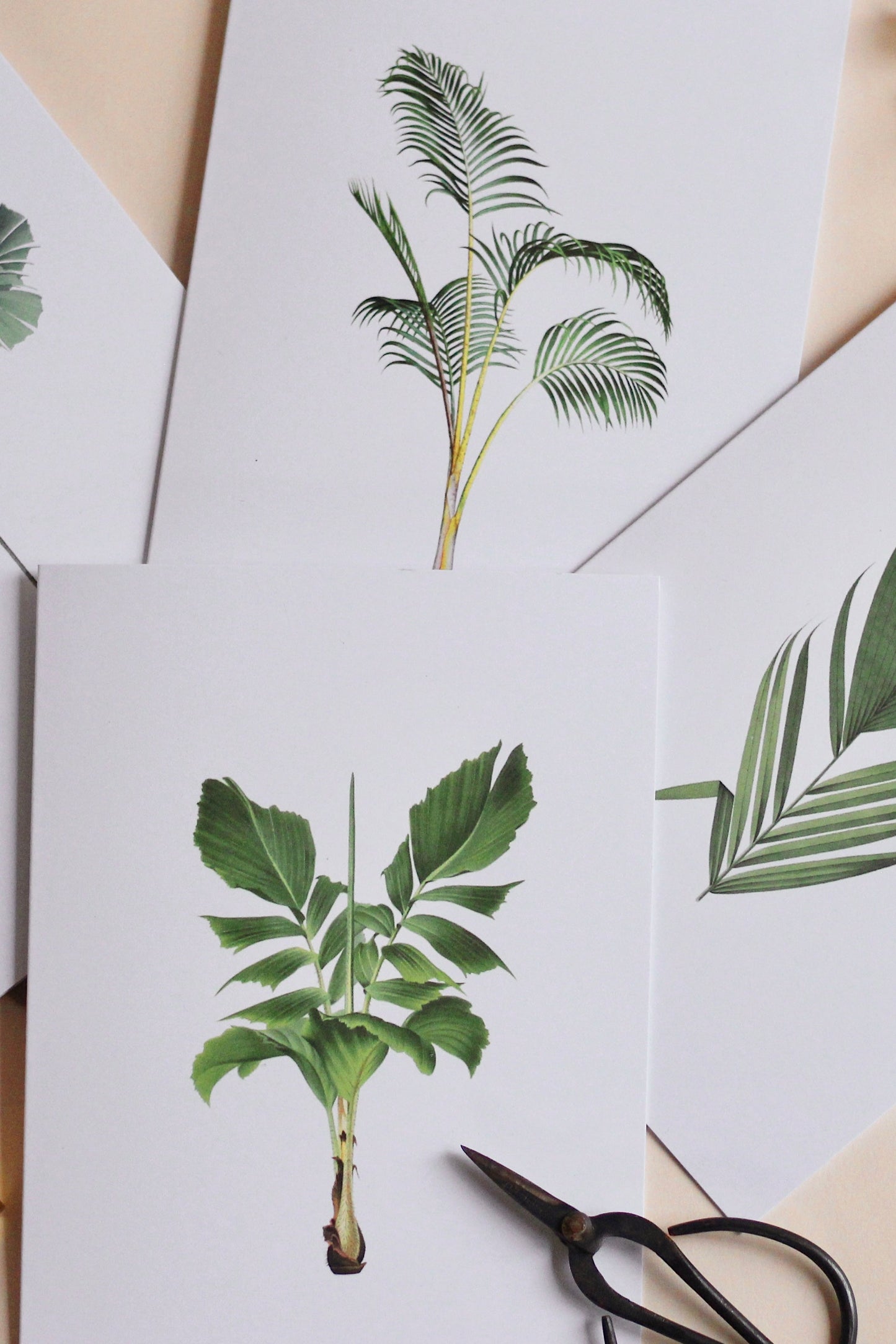 Frond & Bloom Greeting Card Set