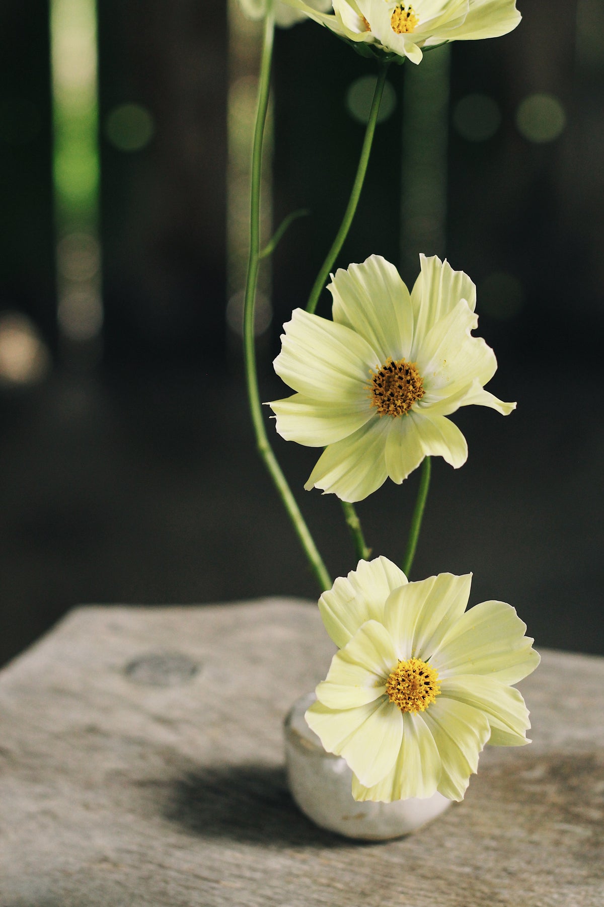 The Flower Stone