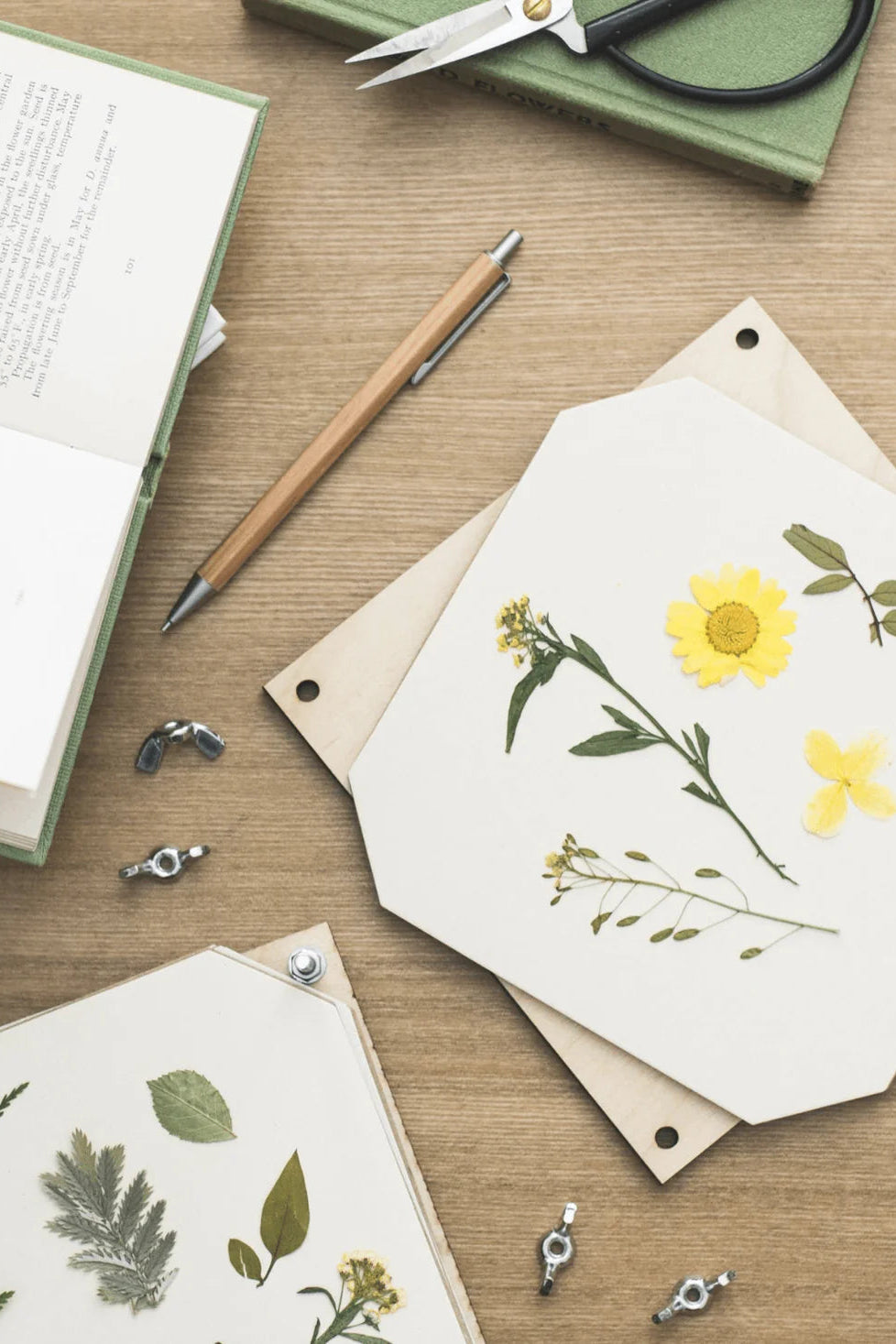 Flower Press - Cosmos