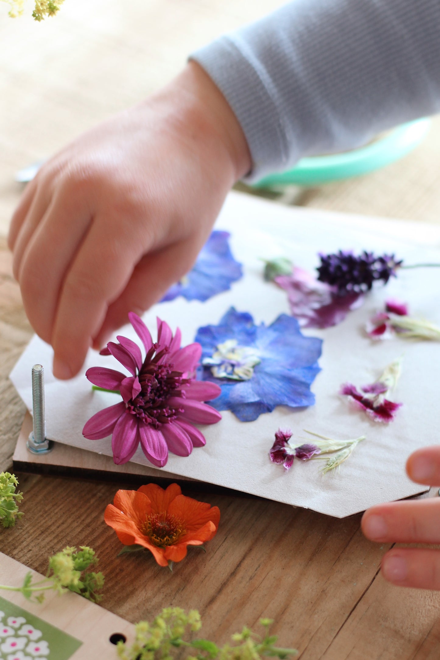 AUGUST - Flower Pressing