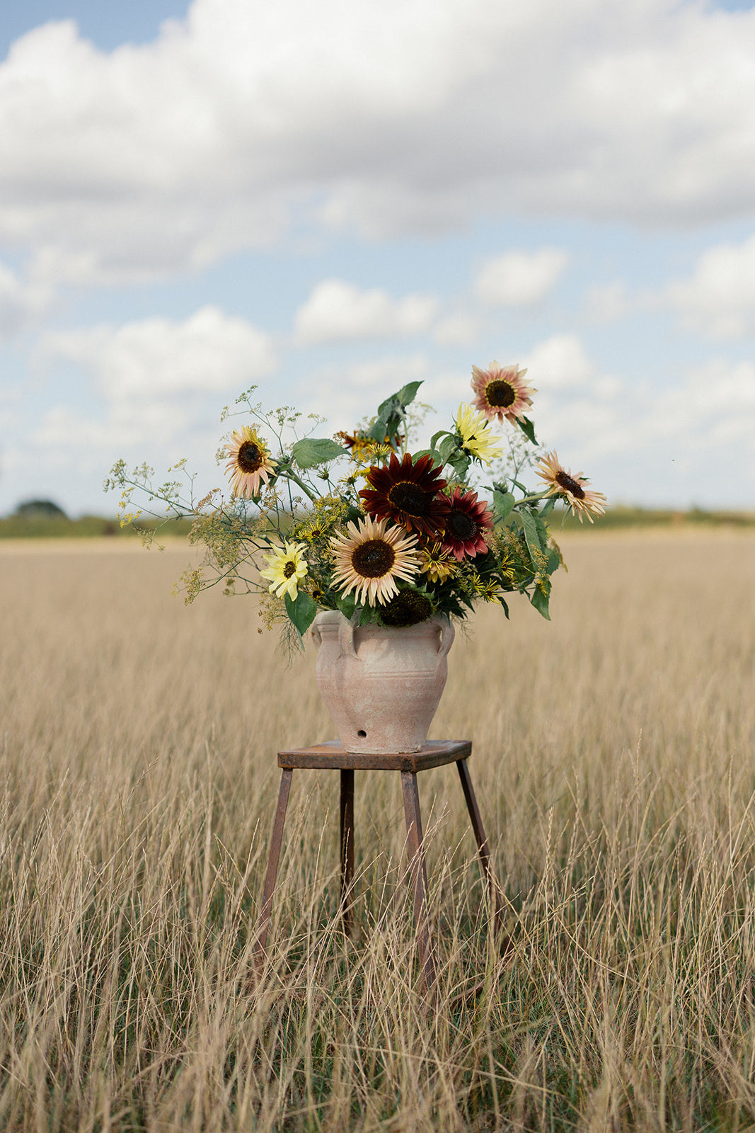 JUNE - The Art of Floral Photography