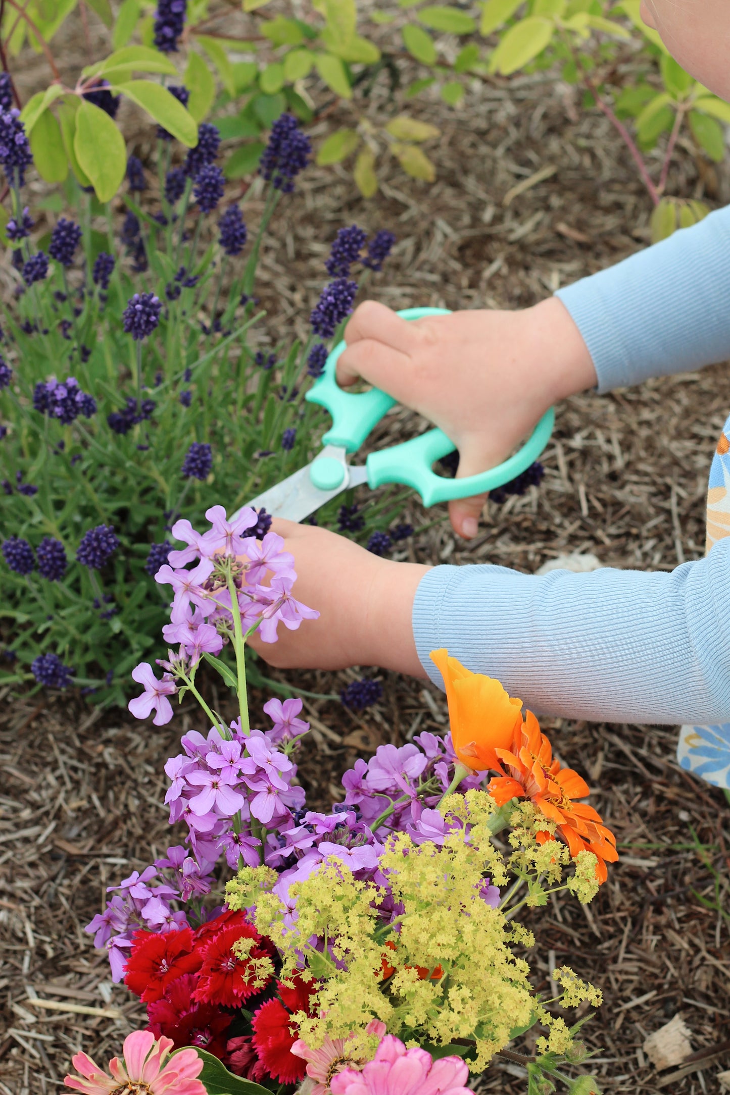 AUGUST - Flower Pressing