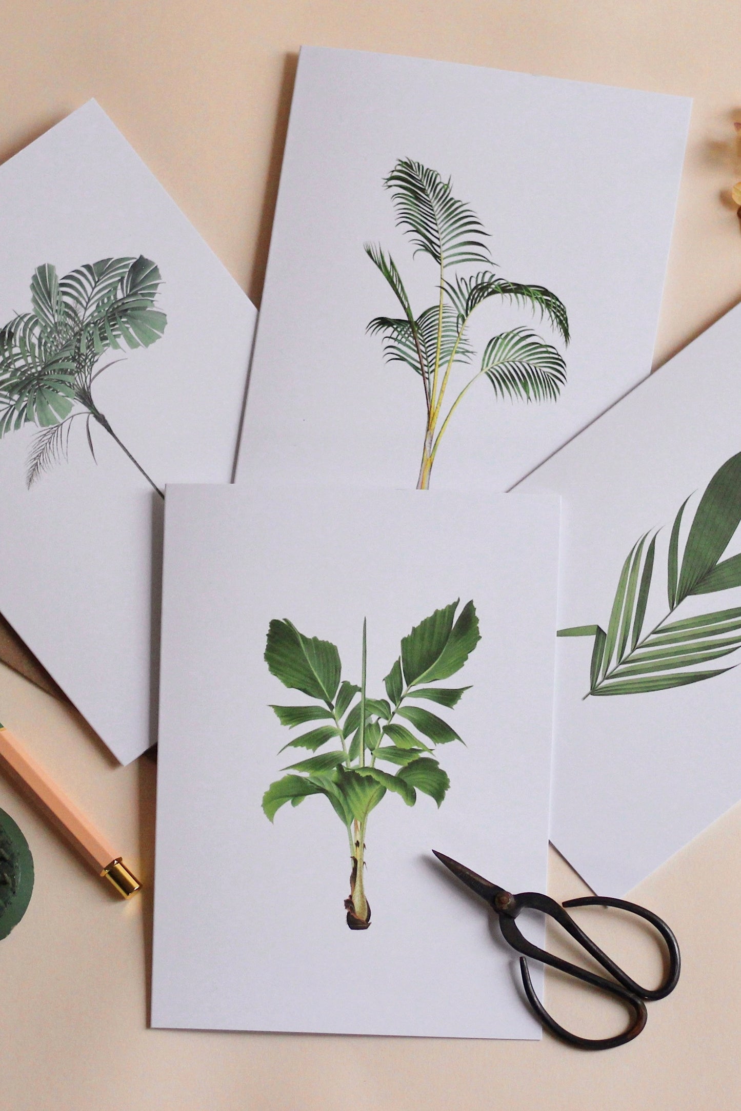 Frond & Bloom Greeting Card Set