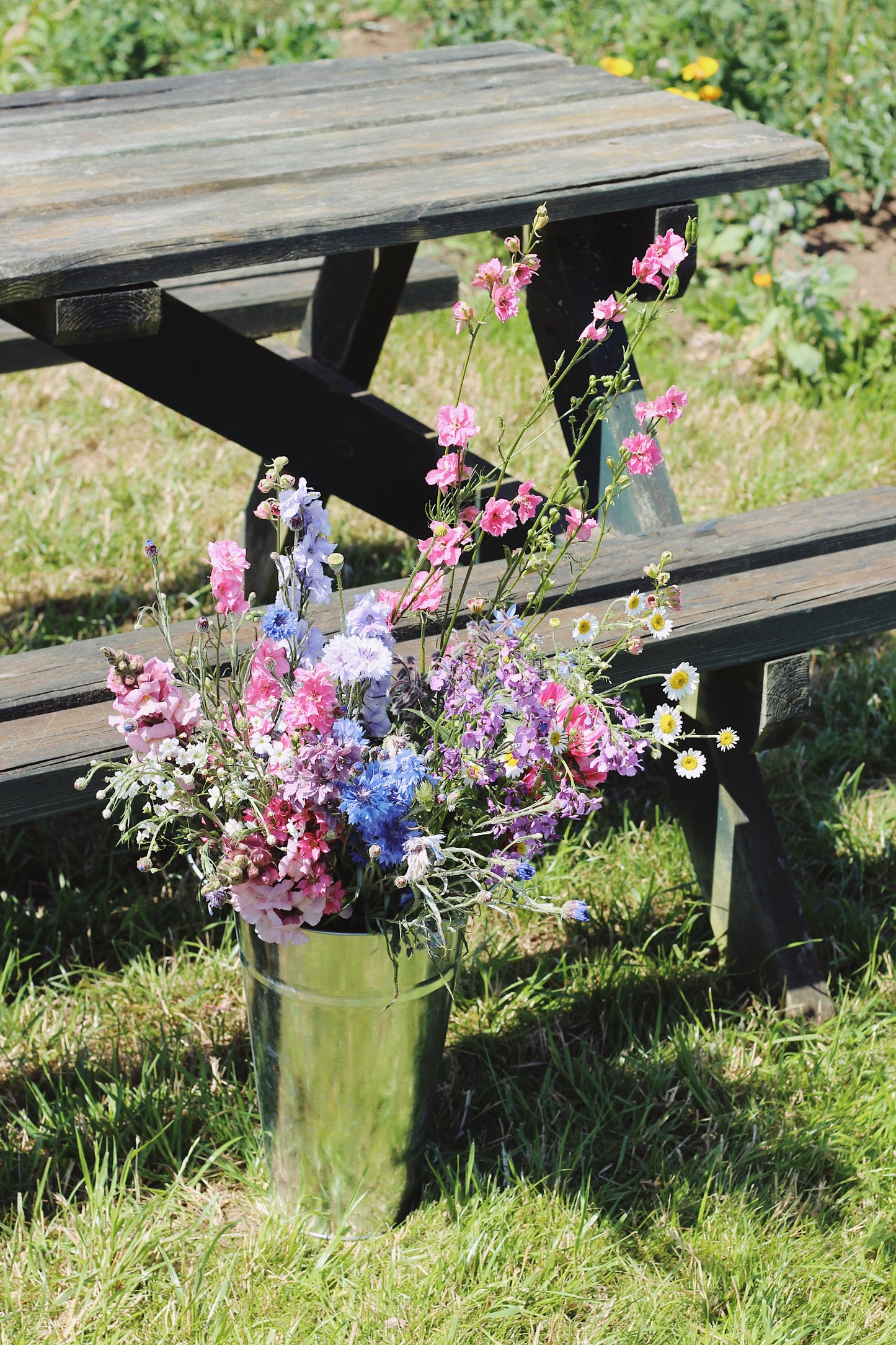 SEPTEMBER - Flow with Flowers