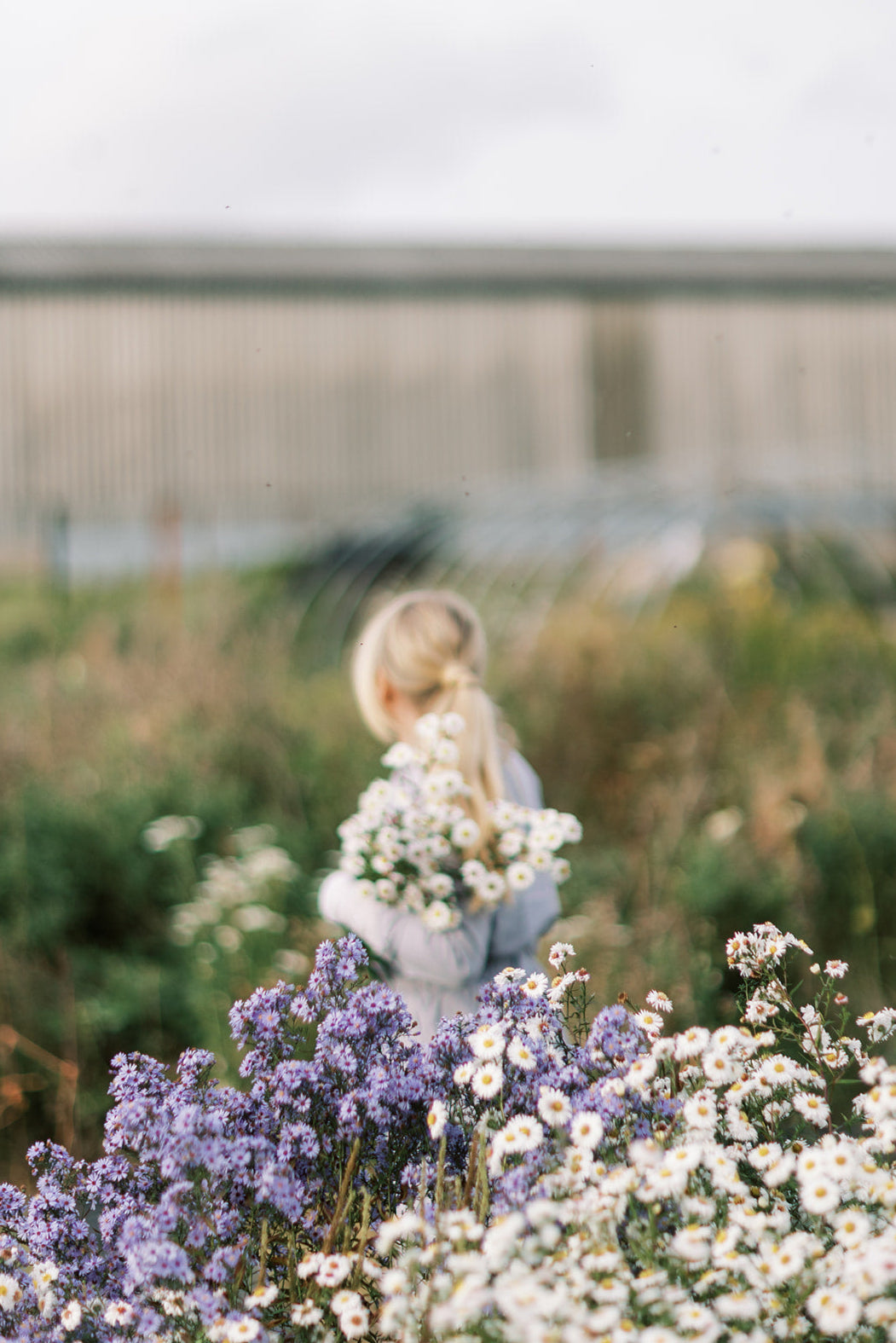Pick-Your-Own Flowers