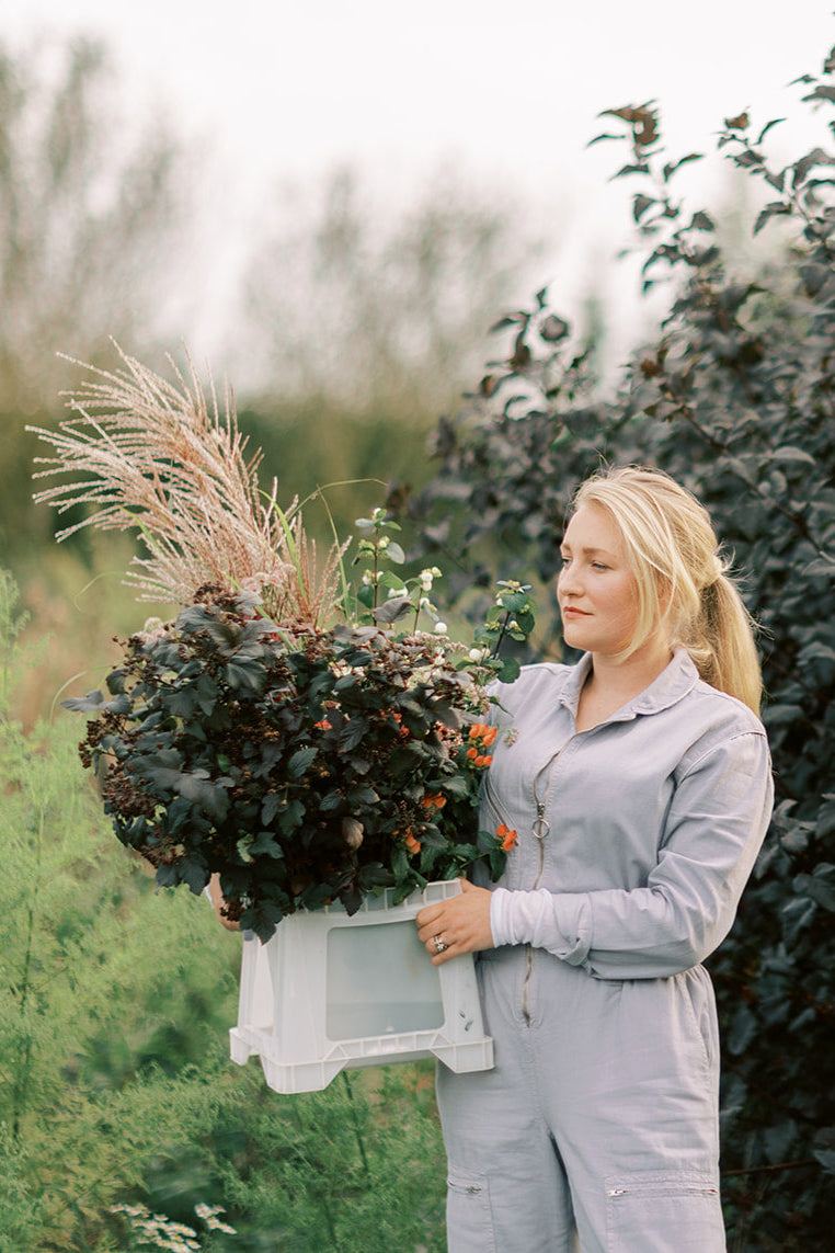 SEPTEMBER - An Evening at the Flower Farm