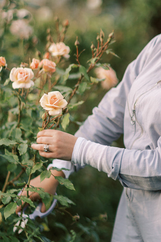 Pick-Your-Own Flowers