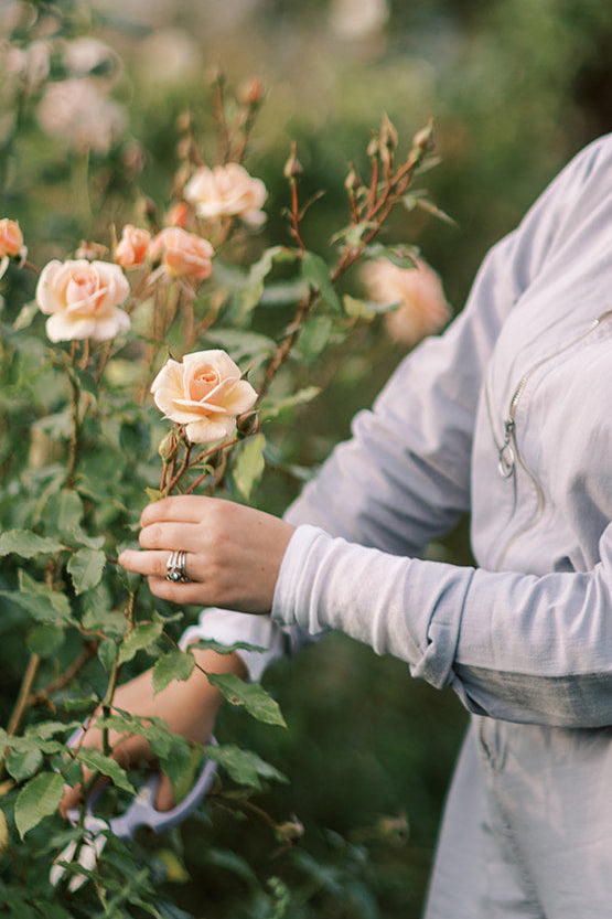 SEPTEMBER - An Evening at the Flower Farm