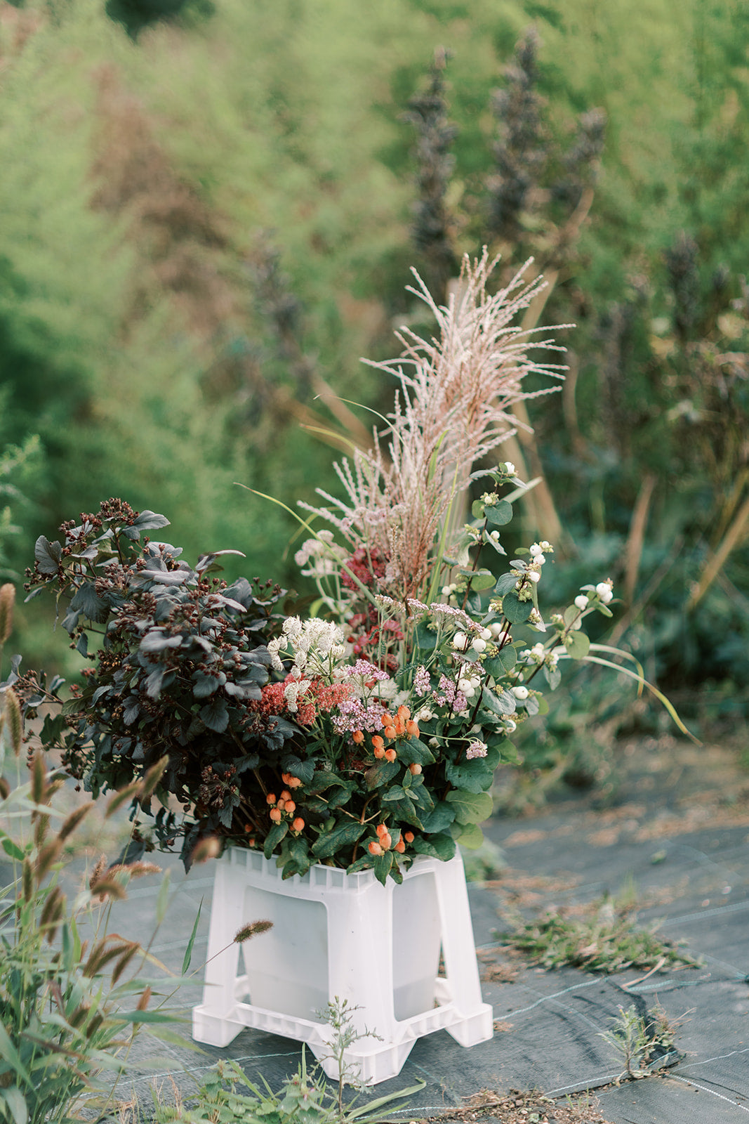 Pick-Your-Own Flowers