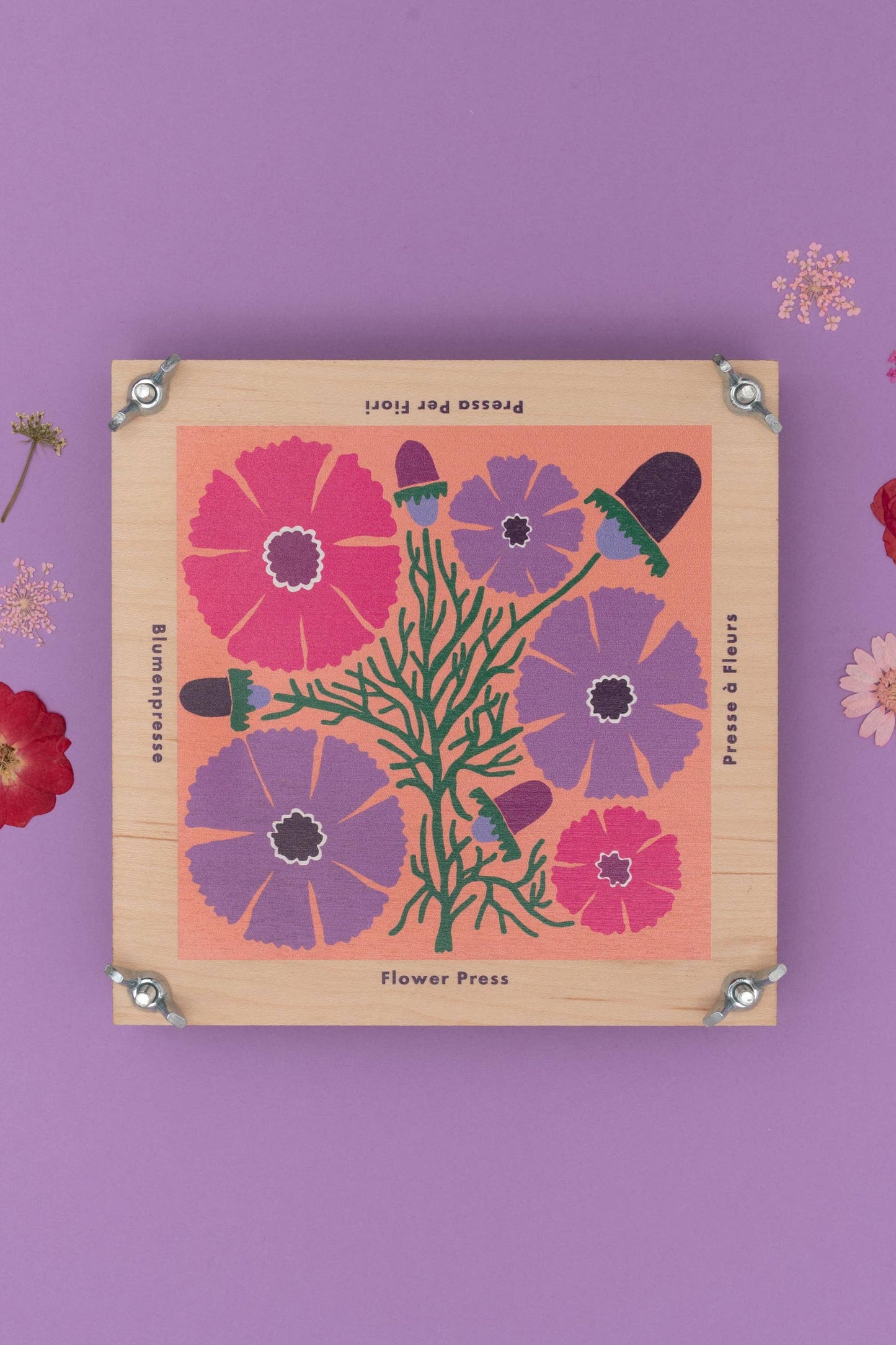 Flower Press - Cosmos
