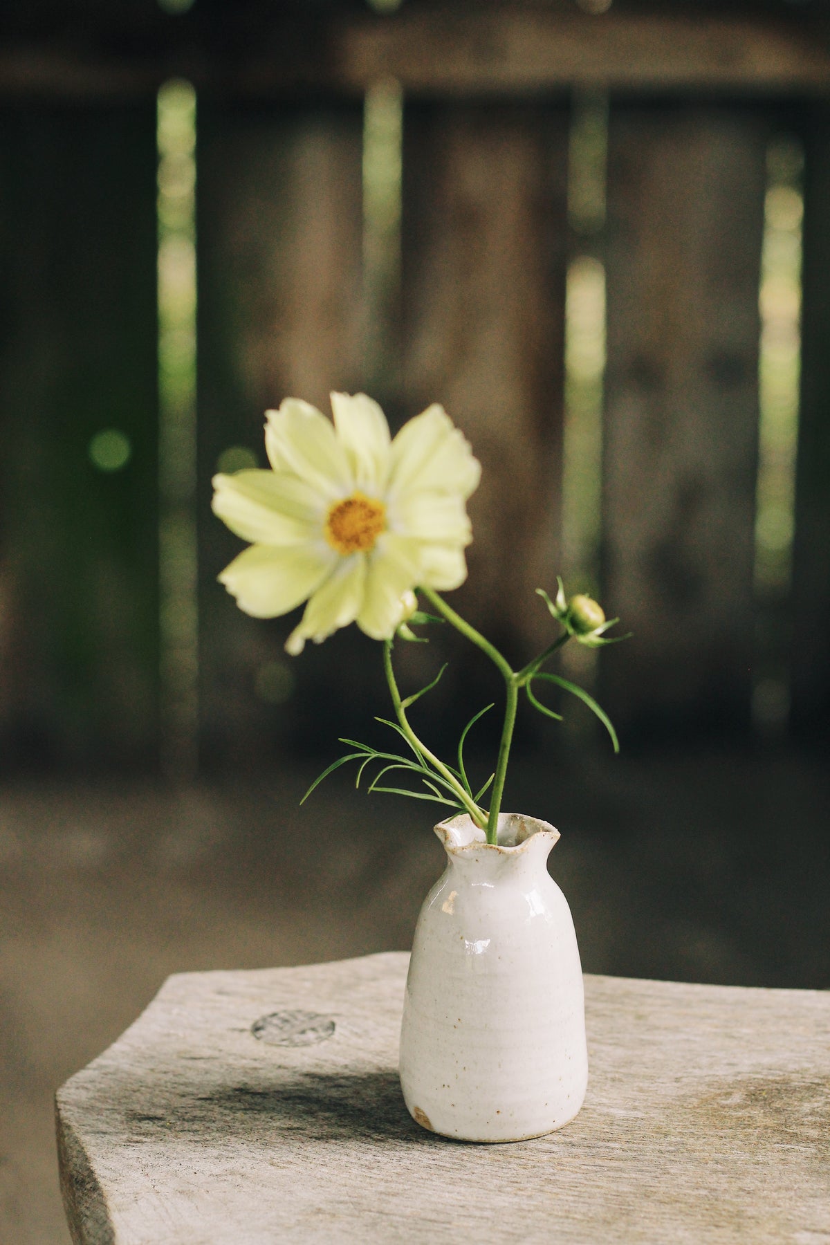 The Bud Vases