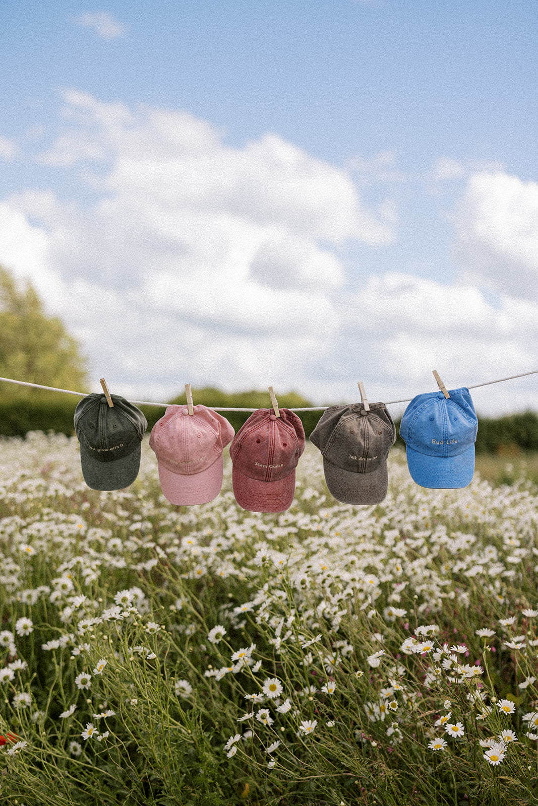 The Cap Collection