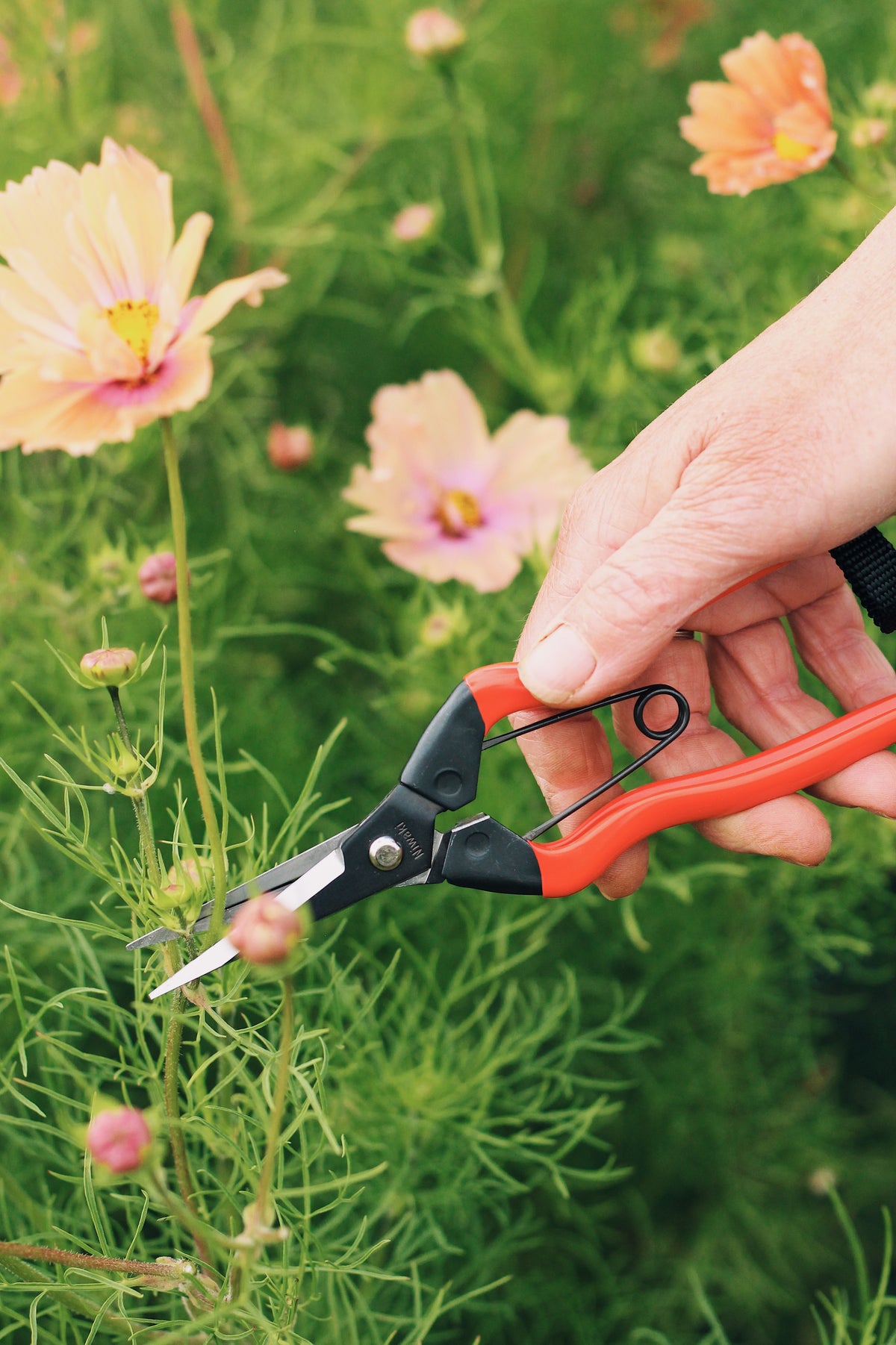 Gardening Starter Kit