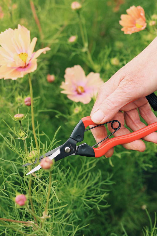 Niwaki Garden Snips
