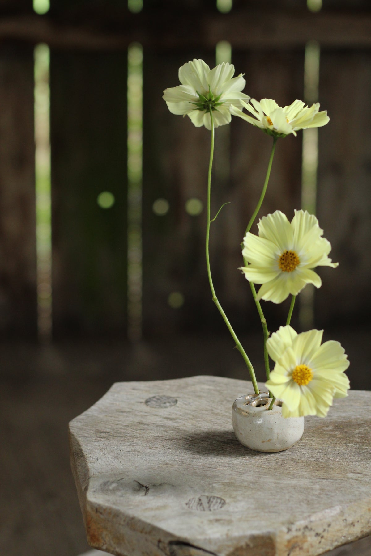 The Flower Stone