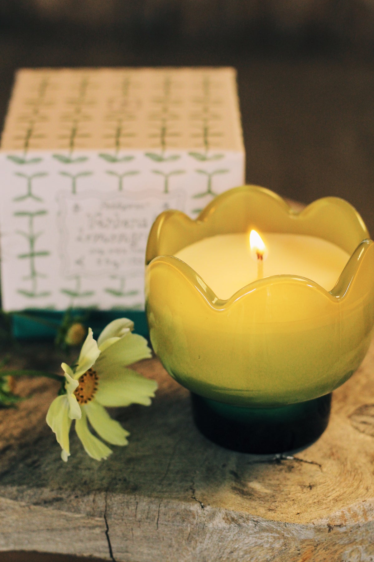 Tulip Glass Candles