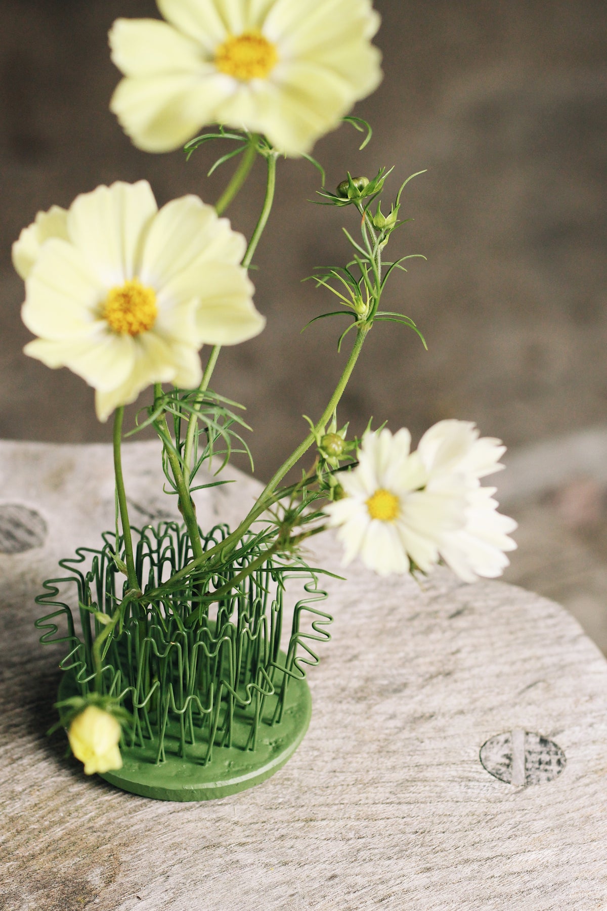 Round Hairpin Flower Holders