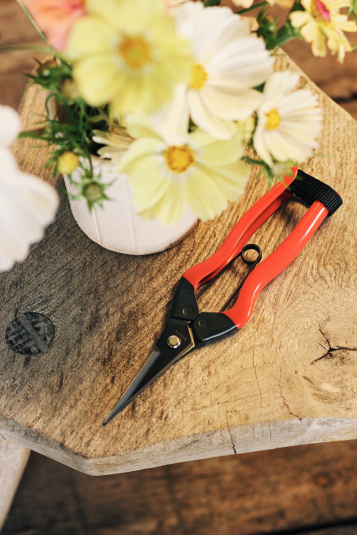 Niwaki Garden Snips
