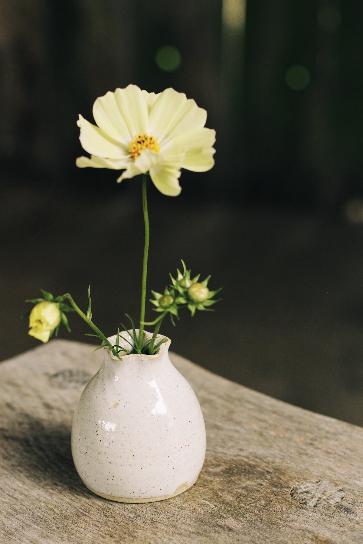 The Bud Vases