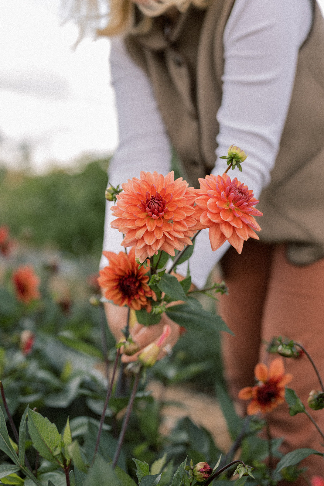 The Last Hurrah - Autumn at the Flower Farm