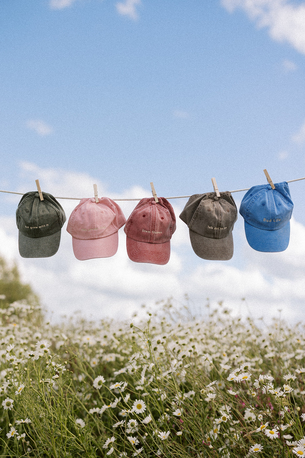 The Cap Collection