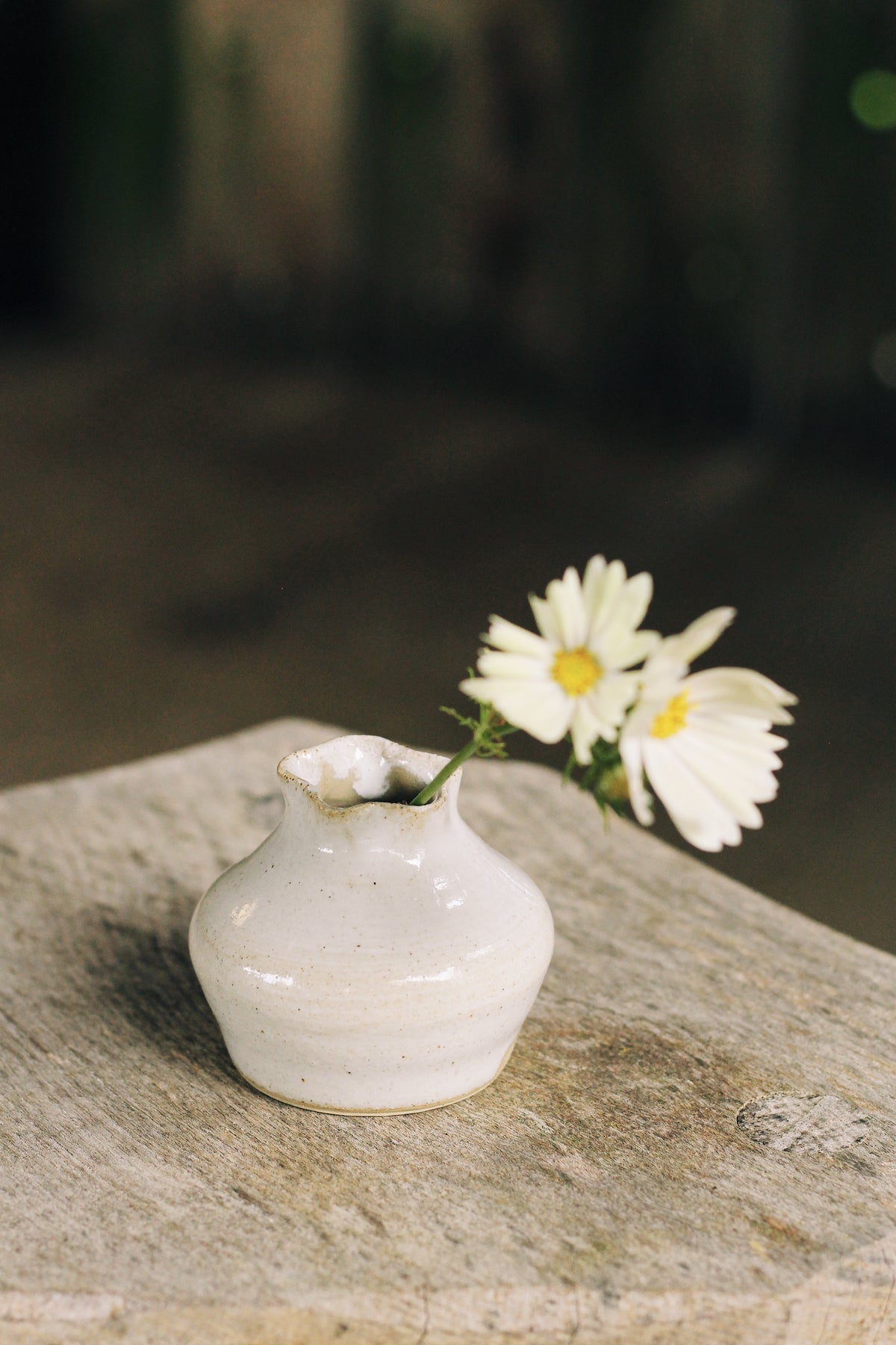 The Bud Vases