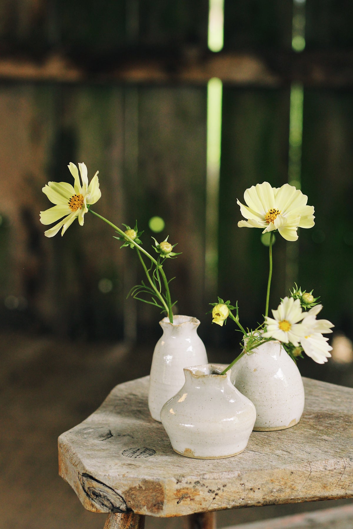 The Bud Vases