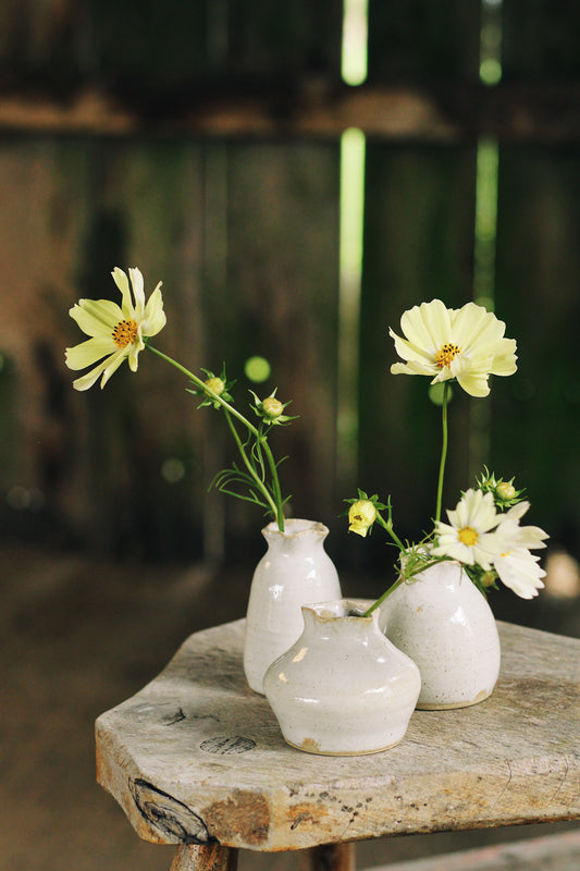 The Bud Vases