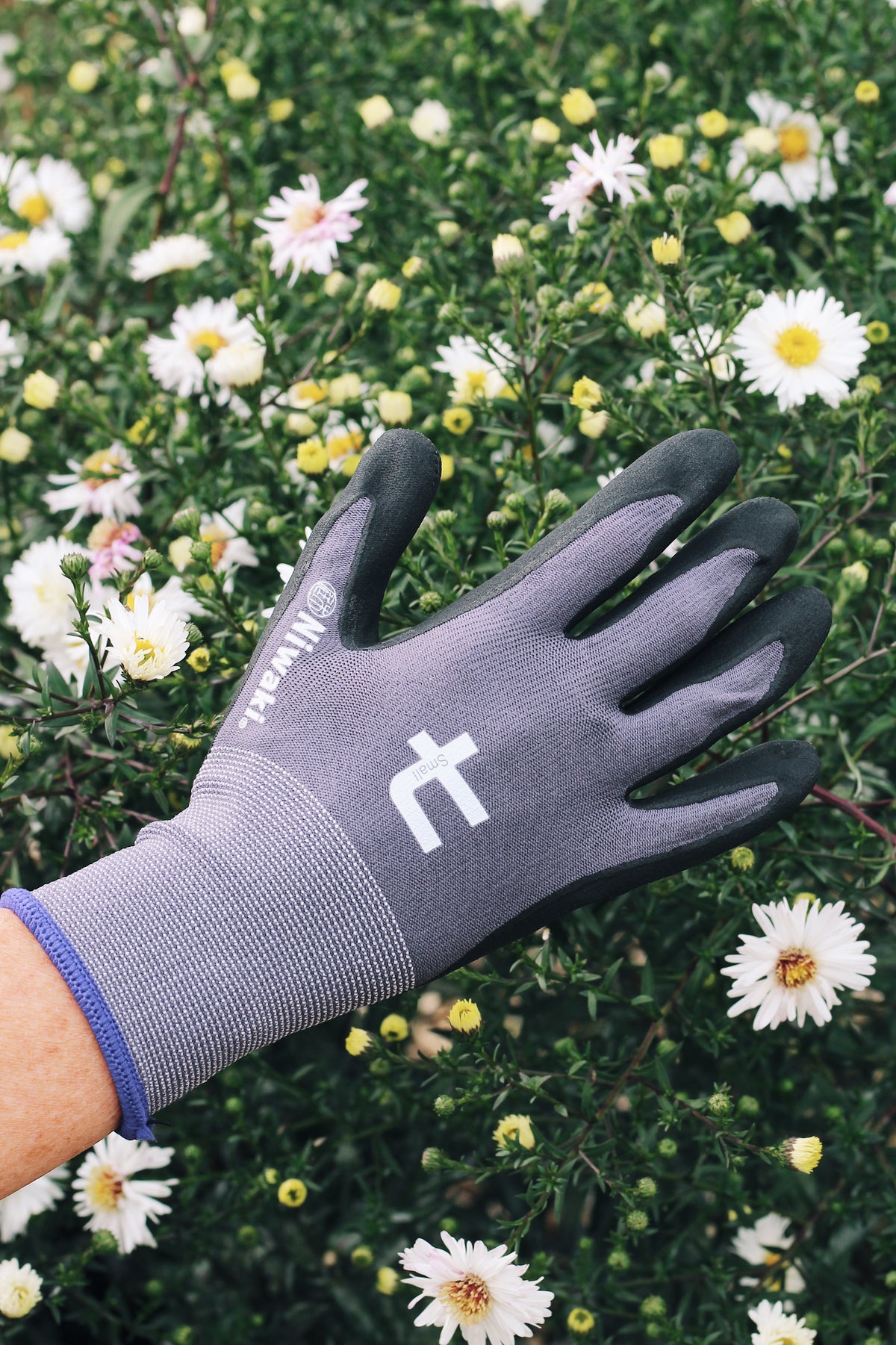 Gardening Starter Kit