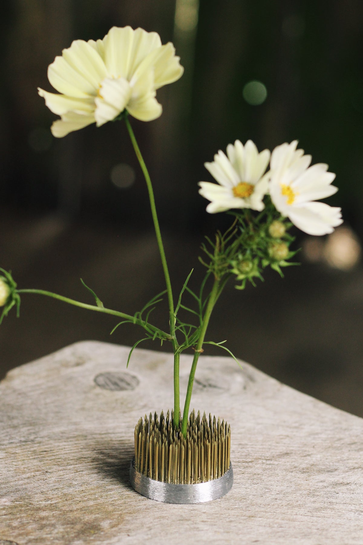 Floristry Starter Kit