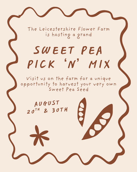 Sweet Pea Seed Pick 'n' Mix