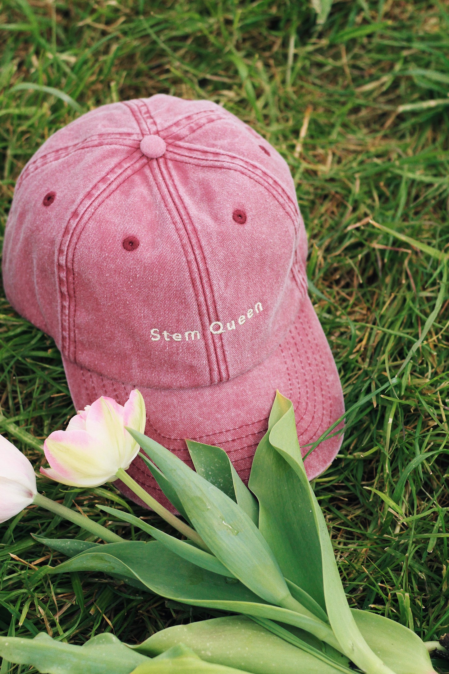 The Cap Collection