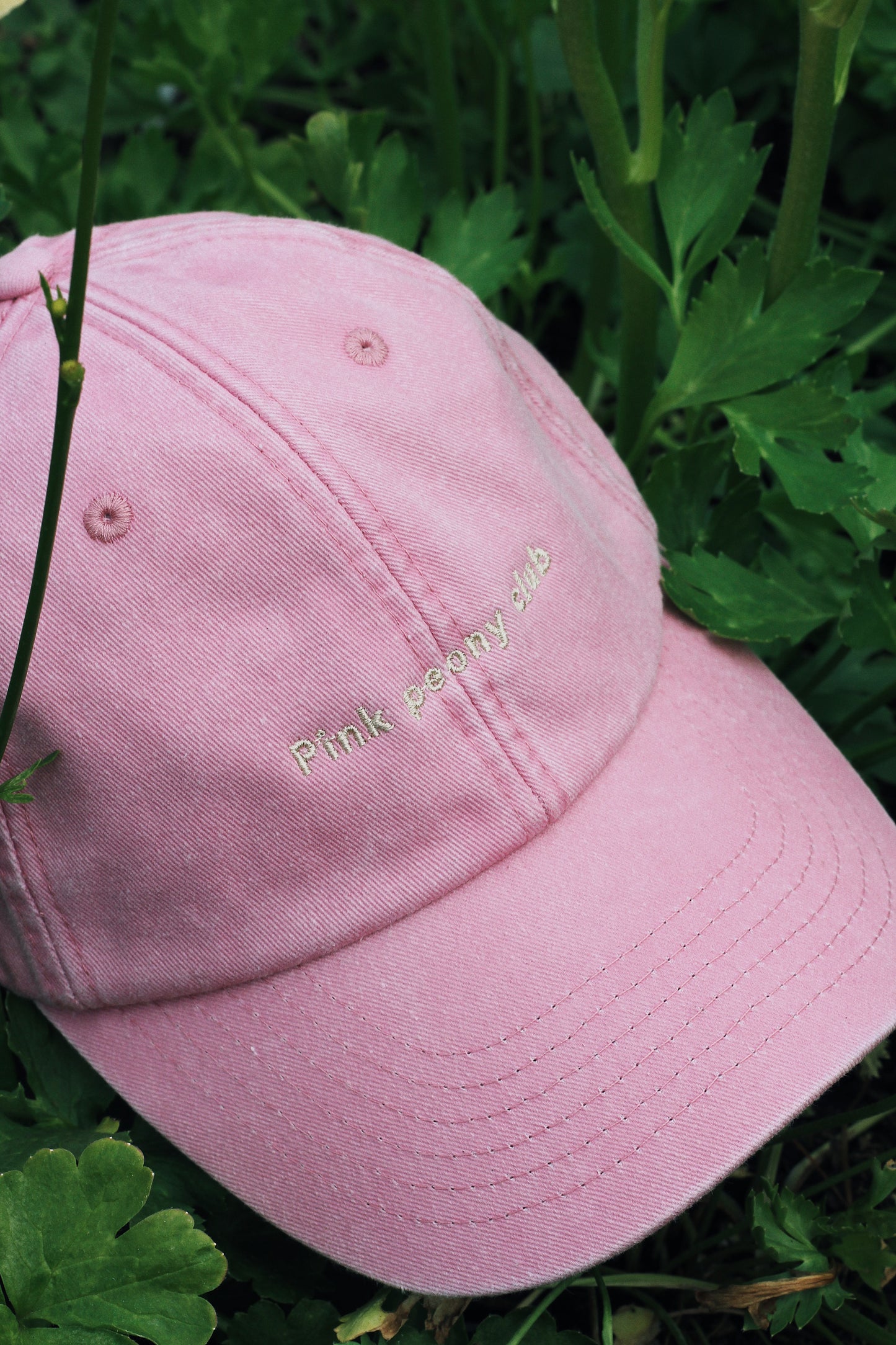 The Cap Collection