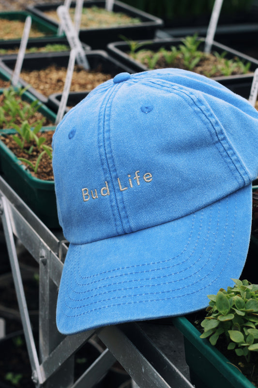 The Cap Collection