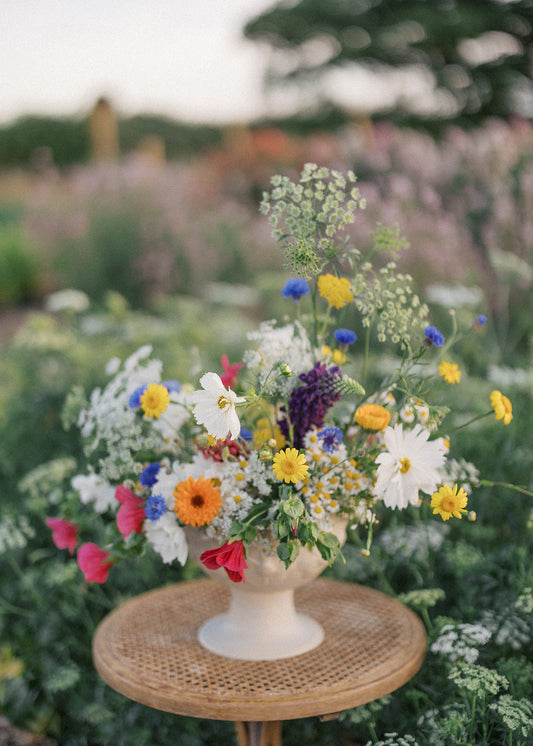 JUNE - The Art of Floral Photography