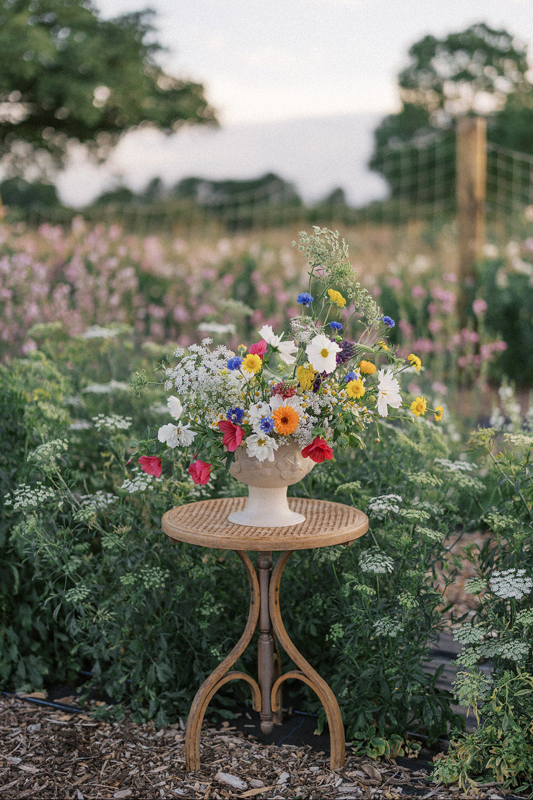 MARCH - Introduction to Growing Cut Flowers