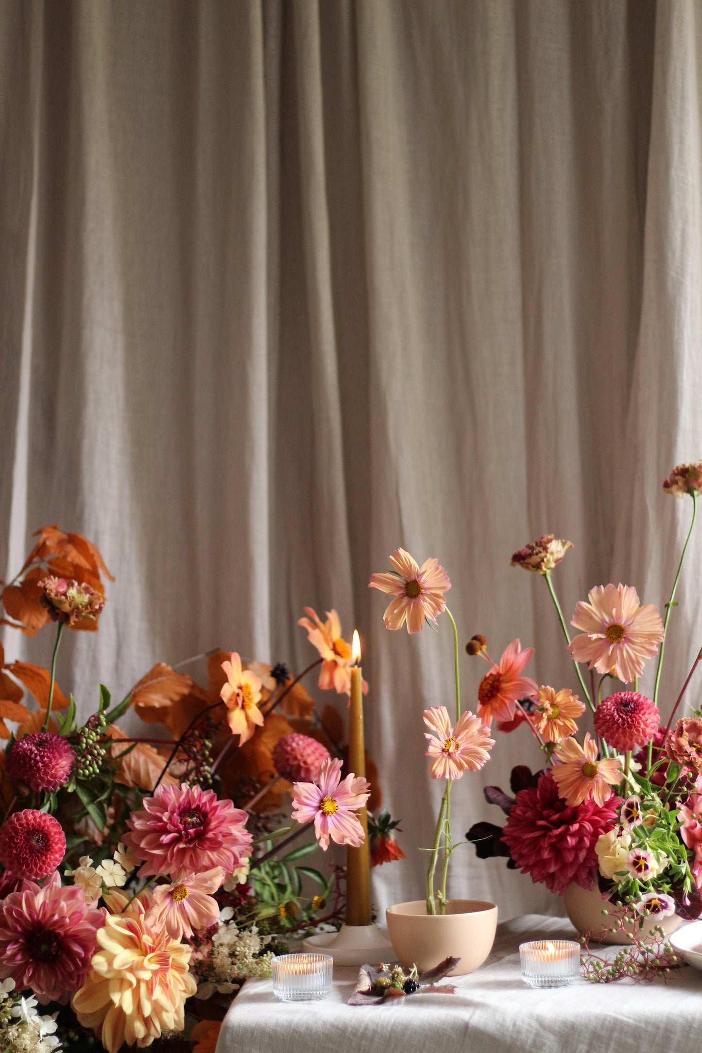 SEPTEMBER - A Celebration of Dahlias