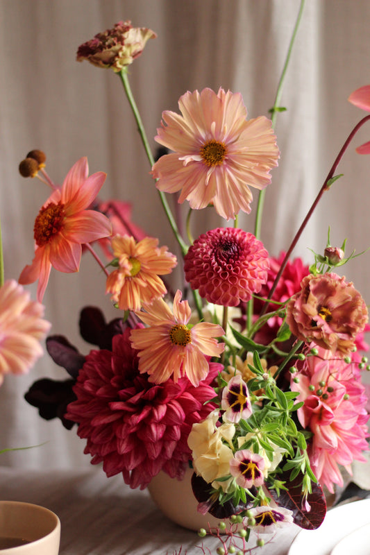 SEPTEMBER - A Celebration of Dahlias