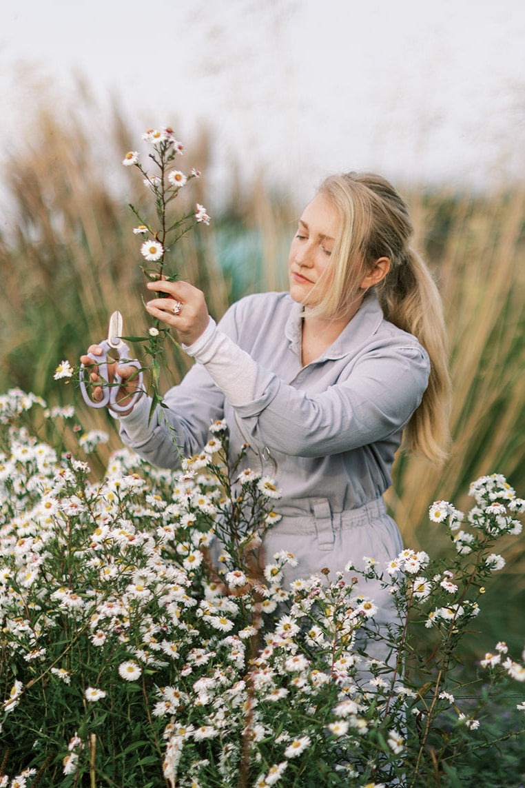 SEPTEMBER - An Evening at the Flower Farm