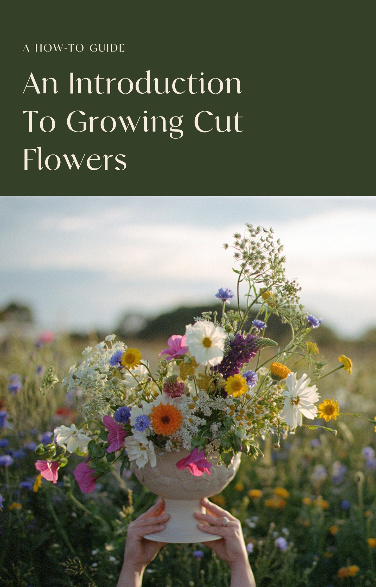E-Book - An Introduction To Growing Cut Flowers