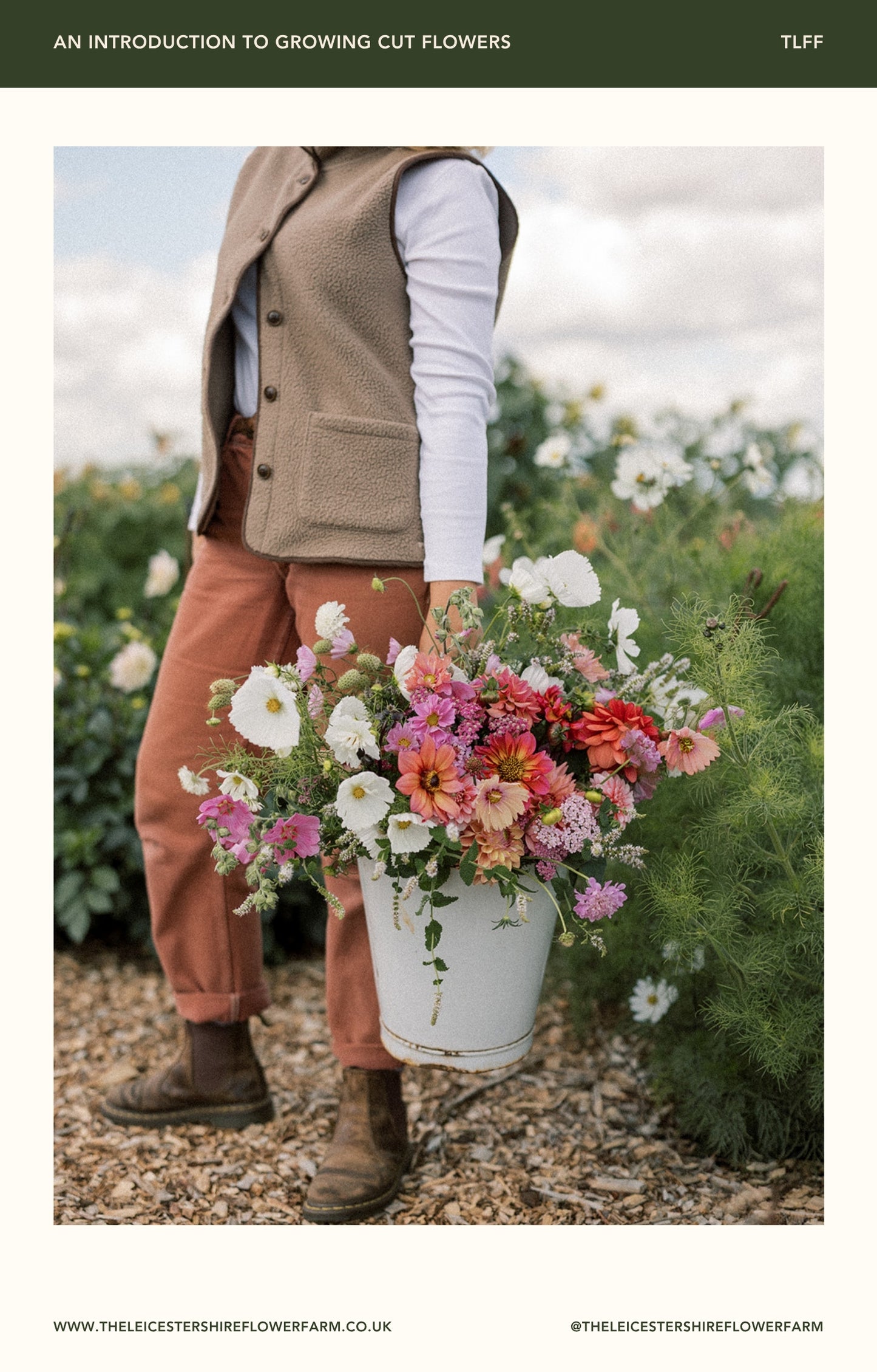 E-Book - An Introduction To Growing Cut Flowers