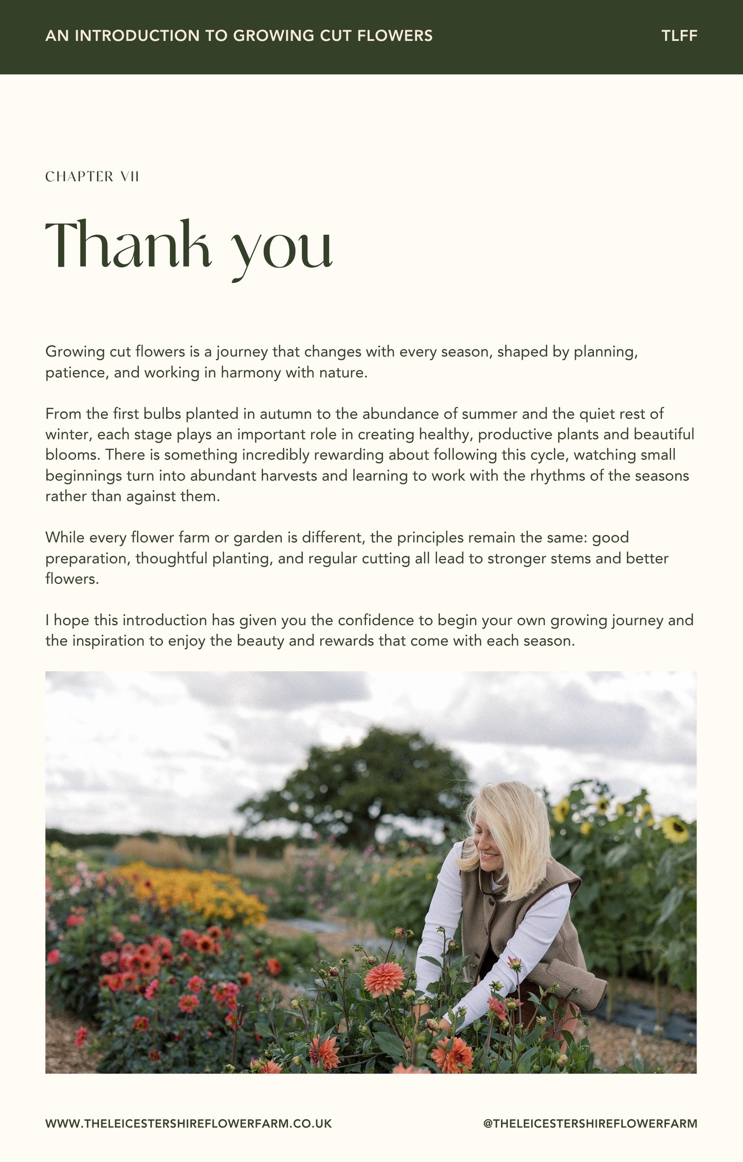 E-Book - An Introduction To Growing Cut Flowers