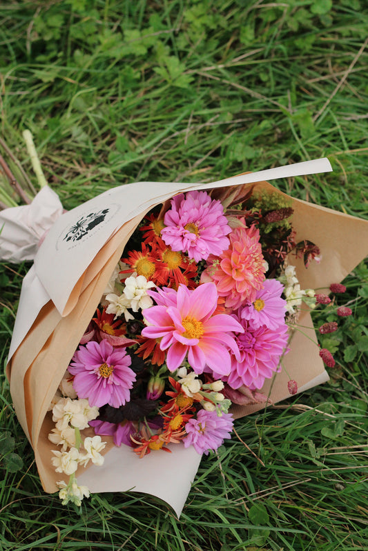 The Flower Shed Bunch