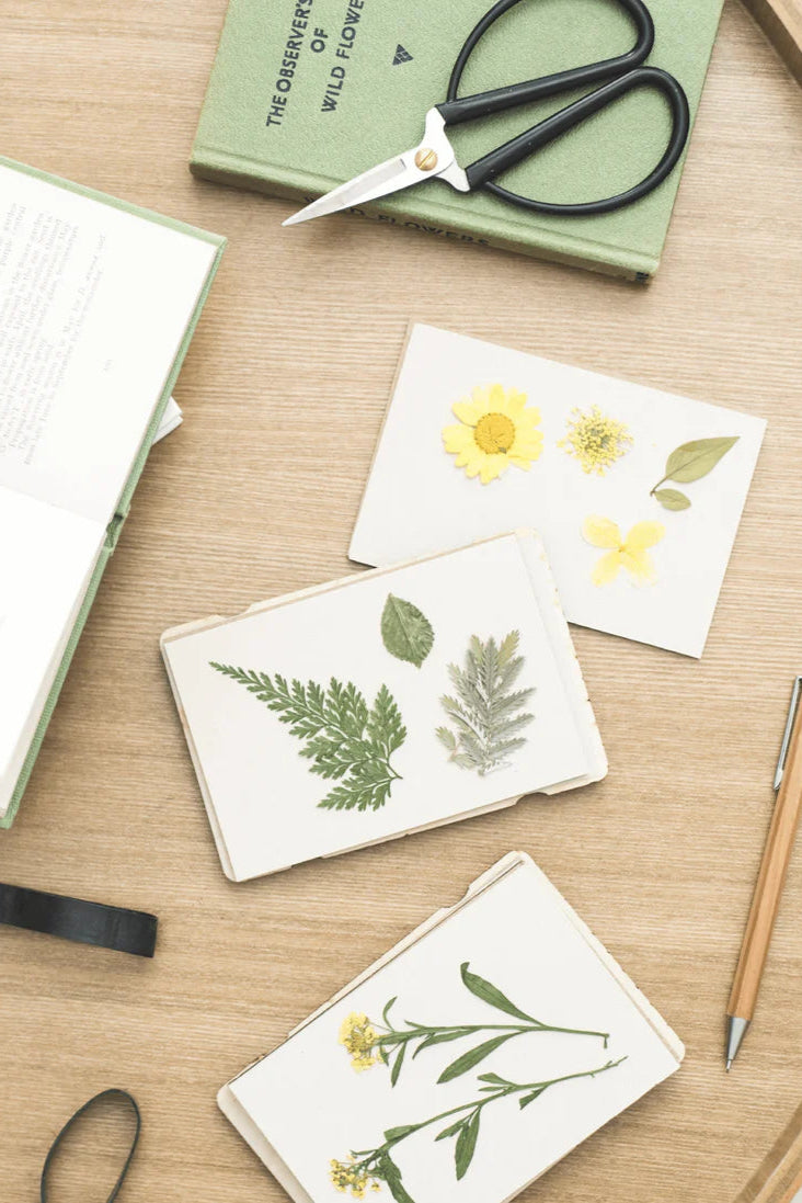 Pocket Flower Press - Forget Me Not