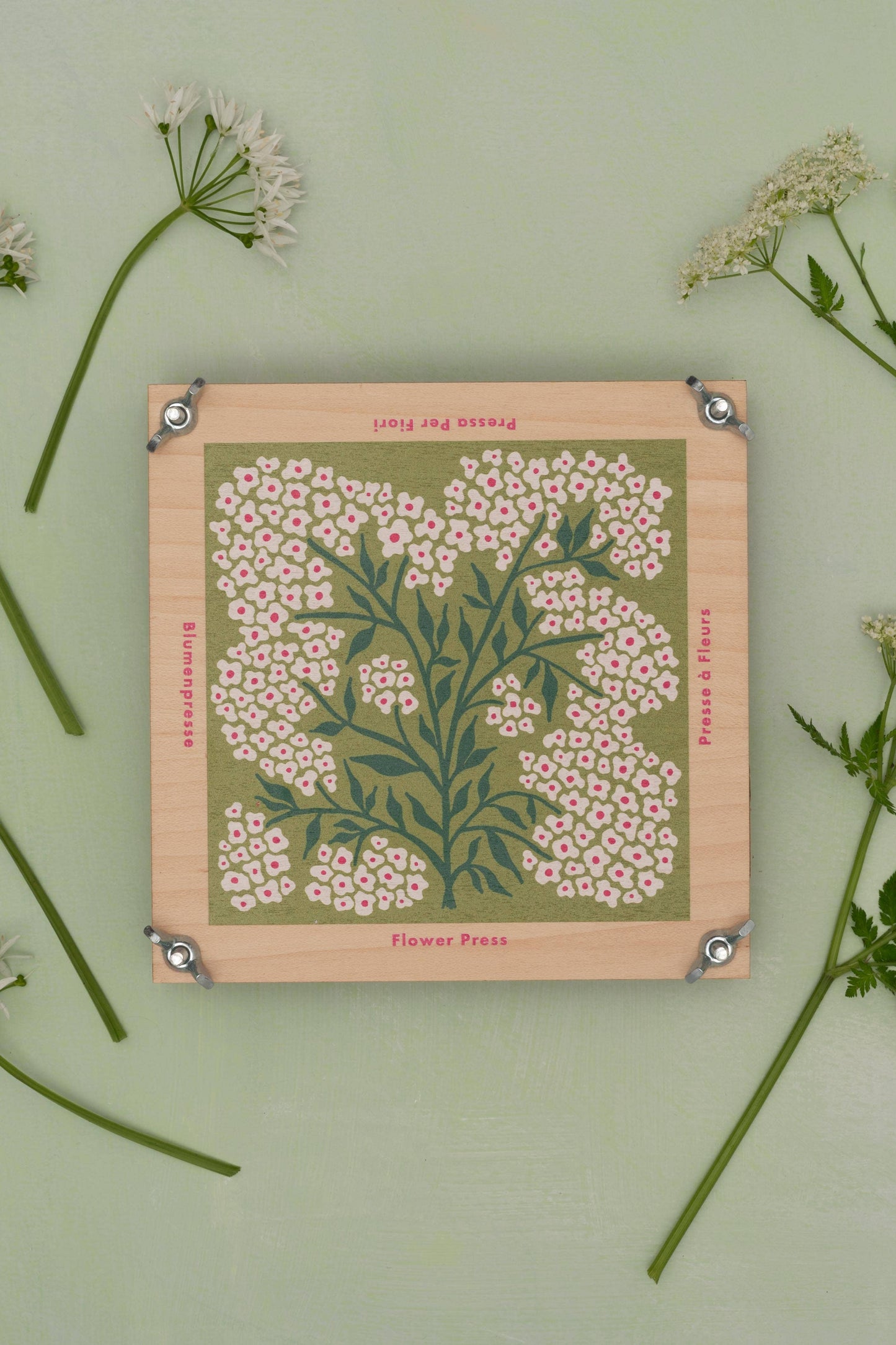 Flower Press - Forget Me Not