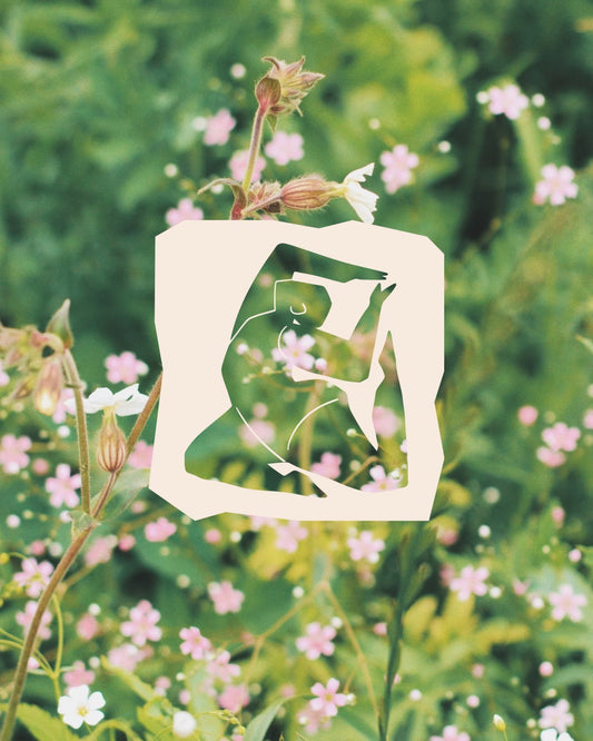 MAY - Flow with Flowers